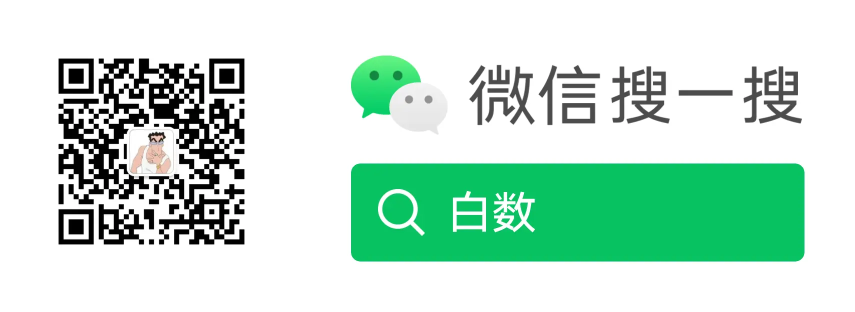 微信公众号--白数.webp